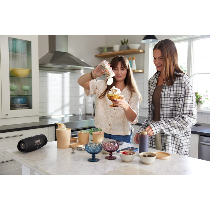 Акустика JBL Charge 5 (JBLCHARGE5WIFIBLK) Black