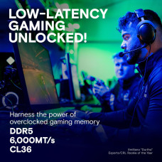 Набір з двох модулів пам'яті PRO 32GB DDR5-6000 KIT2 CP2K16G60C36U5W CRUCIAL