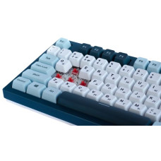 Клавіатура USB TKL FR MK87FR MONTECH