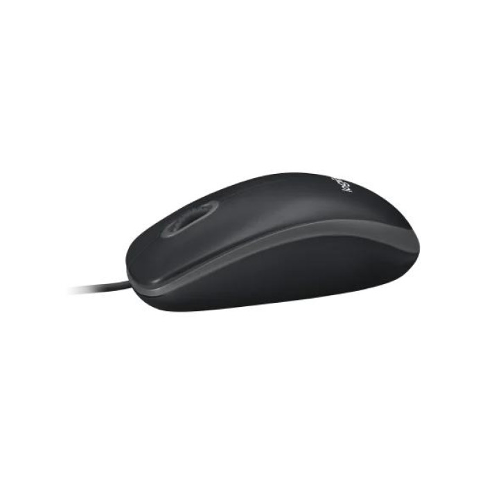 Mишка Logitech B100 (910-003357) Black USB