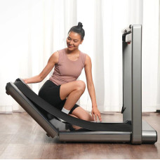 Електрична бігова доріжка KINGSMITH WalkingPad X214 (WP460B4)