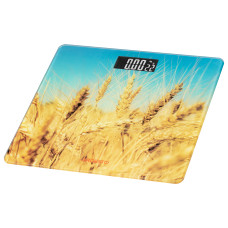Ваги Ardesto підлогові Wheat, 150кг, AAAx2 в комплекті, скло, багатокольорові