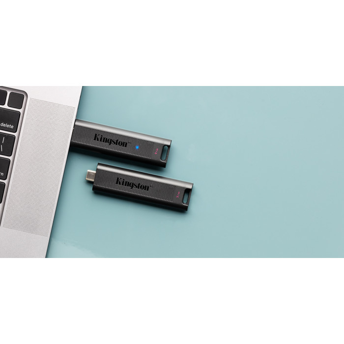 Накопичувач Kingston  256GB USB 3.2 Type-C Gen 2 DT Max