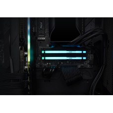 Пам'ять ПК Kingston DDR5 32GB KIT (16GBx2) 5600 FURY Beast RGB