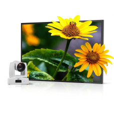 Моторизована камера AVer PTZ310UV2, 12x optical zoom, 4K, PTZ, PoE, білий