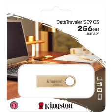 Накопичувач Kingston  256GB USB 3.2 Type-A Gen1 DT SE9 G3