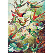 Пазл GoodLoot Imagination: Ernst Haeckel Hummingbirds 1000 ел.