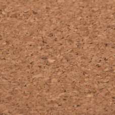 Килимок для миші 2E CORK, S(300x200x2мм), коричневий