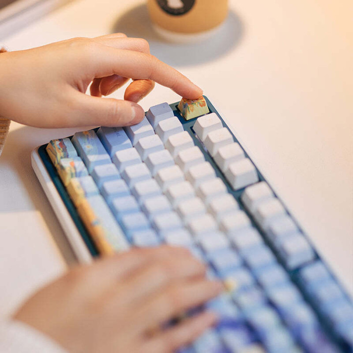 Набір кейкапів Varmilo 130Keys Van Gogh Cherry Profile Keycap Set