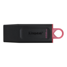 Накопичувач Kingston  256GB USB 3.2 Type-A Gen1 DT Exodia
