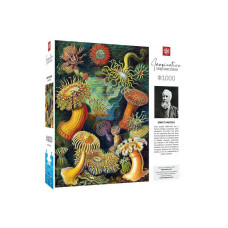 Пазл GoodLoot Imagination: Ernst Haeckel: Sea Anemones 1000 ел.